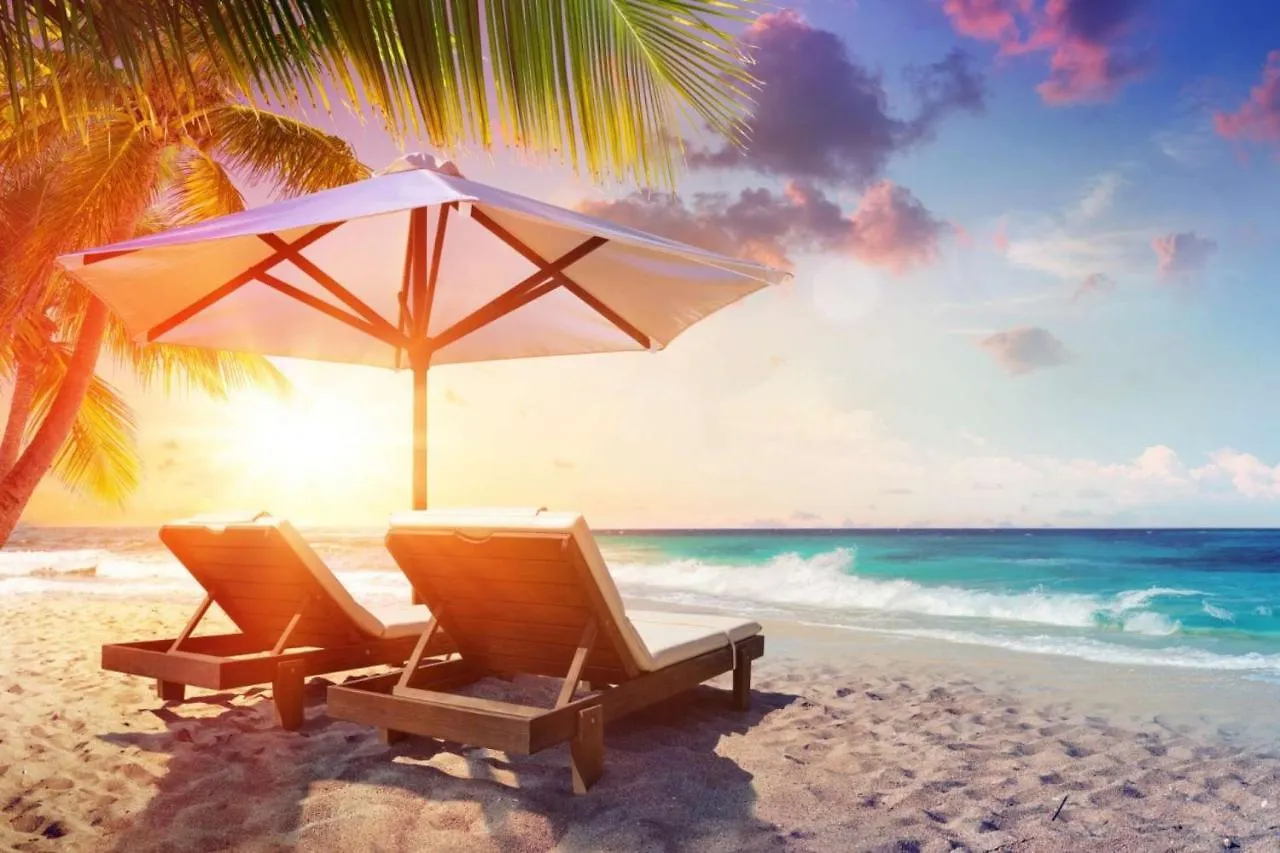 Hébergement de vacances Sunny Days - Pet Friendly 3 Bedroom Home With Heated Pool & Hot Tub Tampa États-Unis